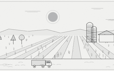 Congo’s food economy in May 2025: cocoa exports up 23.5 per cent, 28 million people hungry